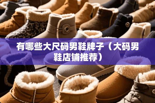 有哪些大尺码男鞋牌子（大码男鞋店铺推荐）