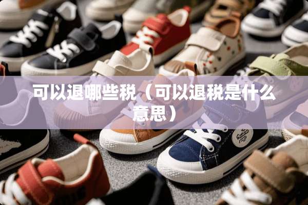 可以退哪些税（可以退税是什么意思）