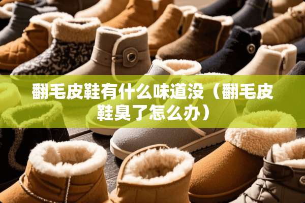 翻毛皮鞋有什么味道没（翻毛皮鞋臭了怎么办）