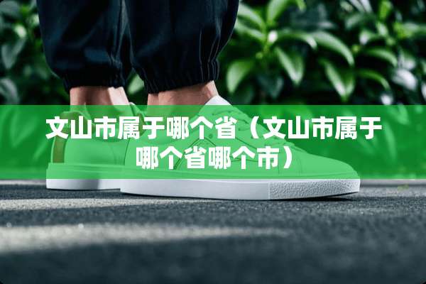 文山市属于哪个省（文山市属于哪个省哪个市）