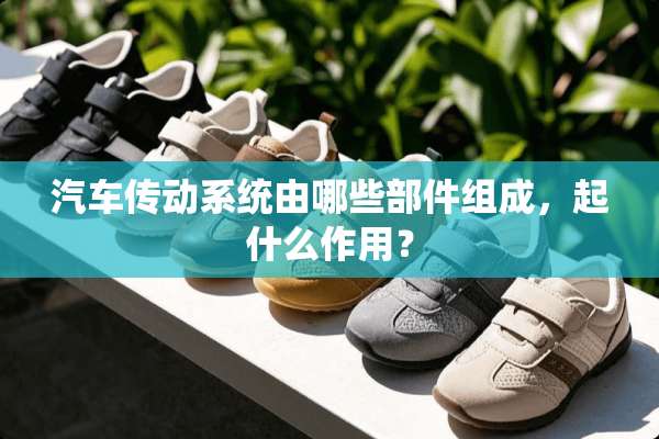 汽车传动系统由哪些部件组成，起什么作用？