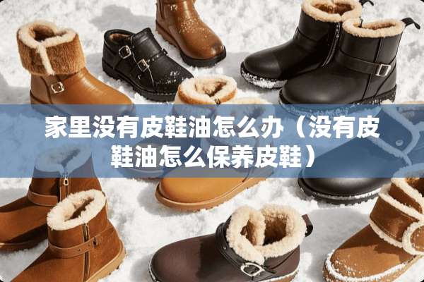 家里没有皮鞋油怎么办（没有皮鞋油怎么保养皮鞋）