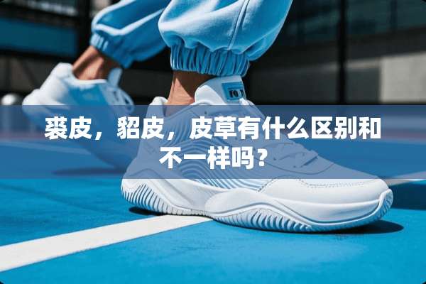 裘皮，貂皮，皮草有什么区别和不一样吗？