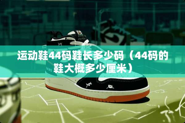 运动鞋44码鞋长多少码（44码的鞋大概多少厘米）