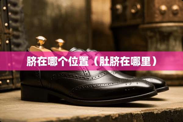脐在哪个位置（肚脐在哪里）
