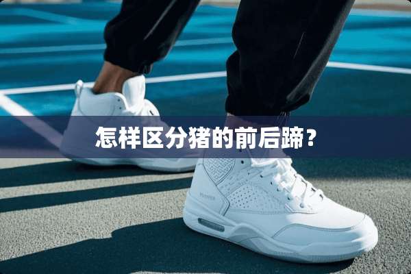 怎样区分猪的前后蹄？