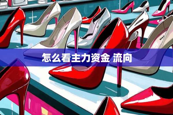 怎么看主力资金 流向