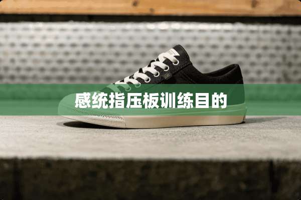 感统指压板训练目的