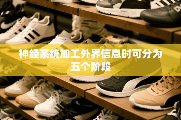 神经系统加工外界信息时可分为五个阶段