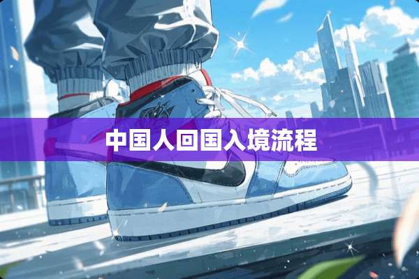 中国人回国入境流程
