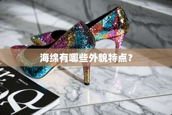 海绵有哪些外貌特点？