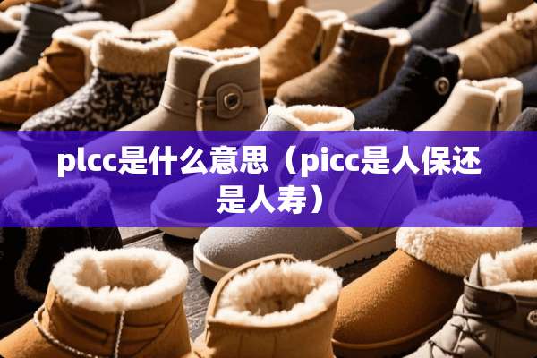 plcc是什么意思（picc是人保还是人寿）