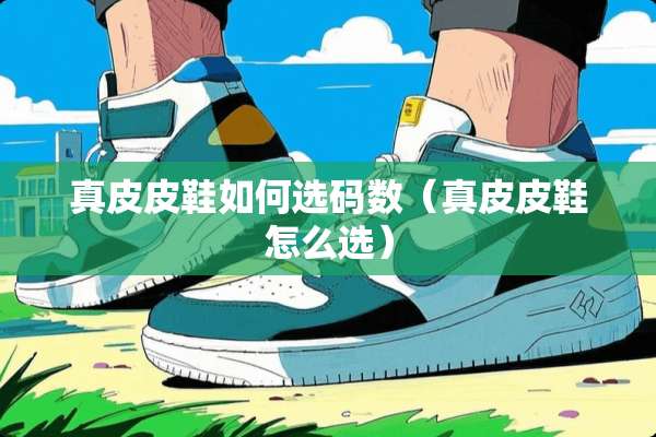 真皮皮鞋如何选码数（真皮皮鞋怎么选）
