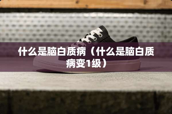 什么是脑白质病（什么是脑白质病变1级）