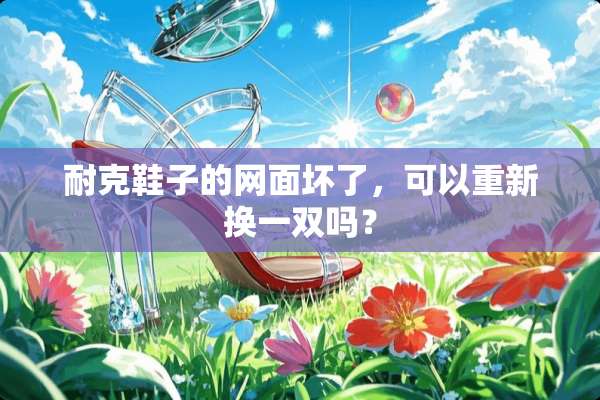 耐克鞋子的网面坏了，可以重新换一双吗？