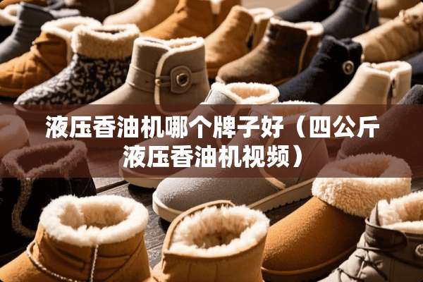 液压香油机哪个牌子好（四公斤液压香油机视频）