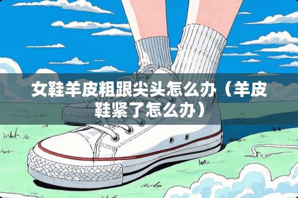 女鞋羊皮粗跟尖头怎么办（羊皮鞋紧了怎么办）