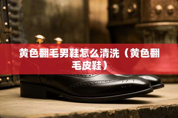 **翻毛男鞋怎么清洗（**翻毛皮鞋）