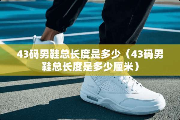 43码男鞋总长度是多少（43码男鞋总长度是多少厘米）