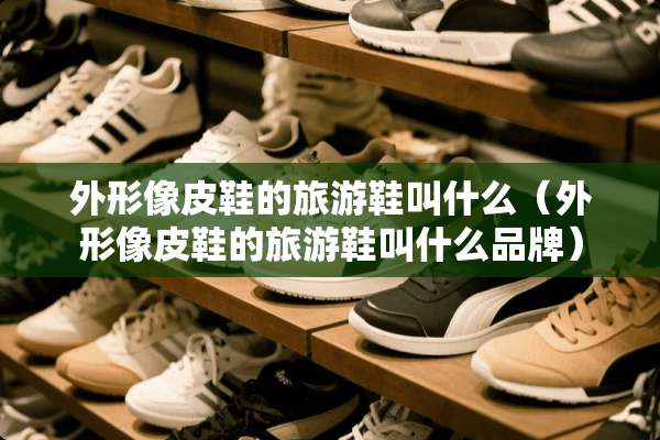 外形像皮鞋的旅游鞋叫什么（外形像皮鞋的旅游鞋叫什么品牌）