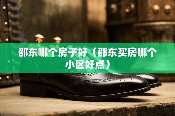 邵东哪个房子好（邵东买房哪个小区好点）