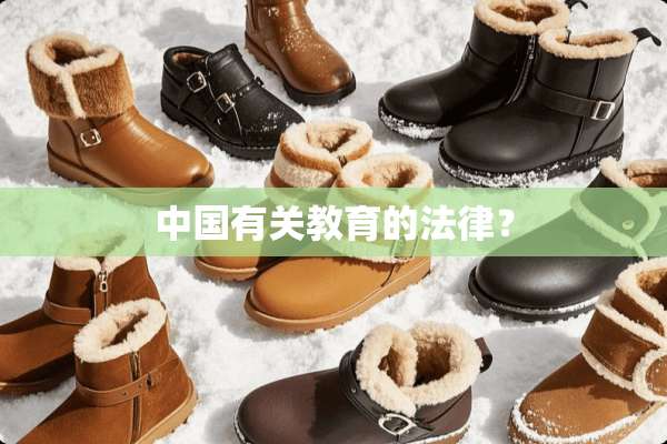 中国有关教育的法律？