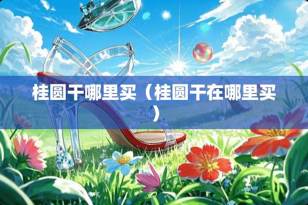 桂圆干哪里买（桂圆干在哪里买）