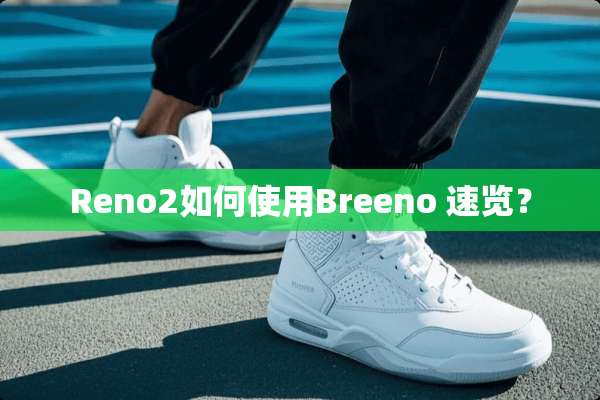 Reno2如何使用Breeno 速览？