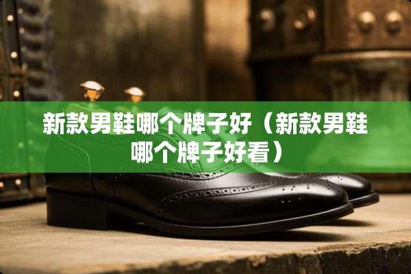 新款男鞋哪个牌子好（新款男鞋哪个牌子好看）