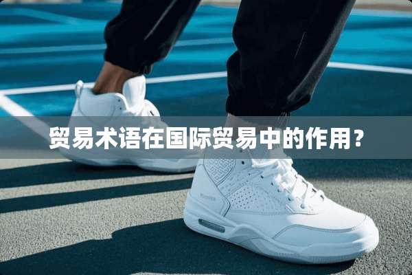 贸易术语在国际贸易中的作用？