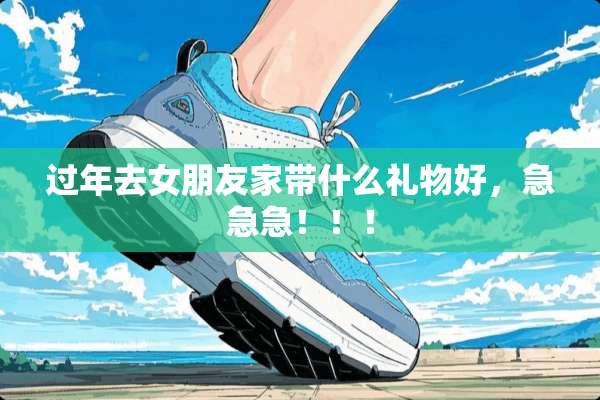 过年去女朋友家带什么礼物好，急急急！！！