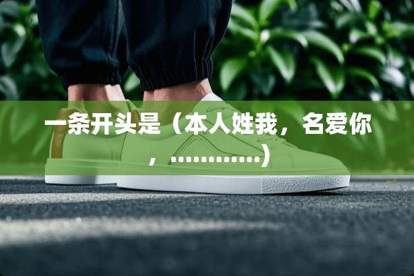 一条开头是（本人姓我，名爱你，............)