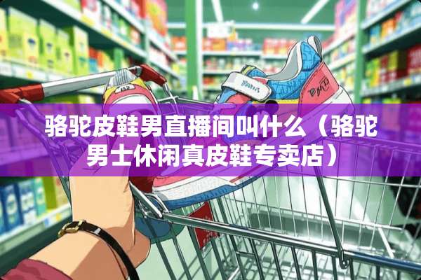 骆驼皮鞋男直播间叫什么（骆驼男士休闲真皮鞋专卖店）