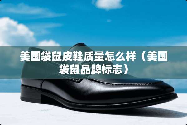 美国袋鼠皮鞋质量怎么样（美国袋鼠品牌标志）