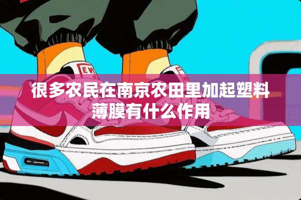 很多农民在南京农田里加起塑料薄膜有什么作用