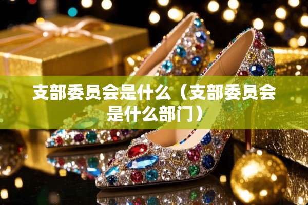 支部委员会是什么（支部委员会是什么部门）
