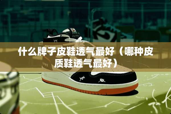 什么牌子皮鞋透气最好（哪种皮质鞋透气最好）