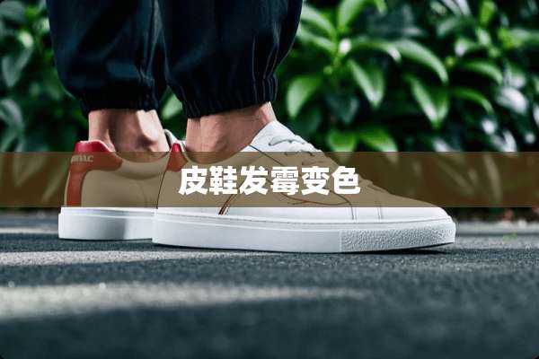 皮鞋发霉变色