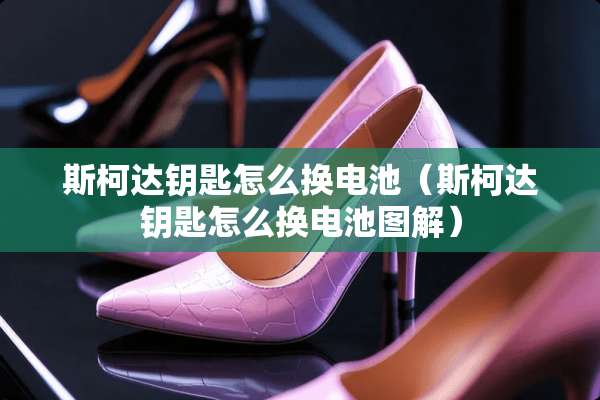 斯柯达钥匙怎么换电池（斯柯达钥匙怎么换电池图解）