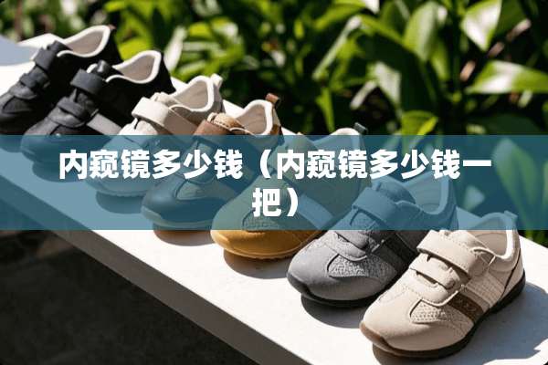 内窥镜多少钱（内窥镜多少钱一把）