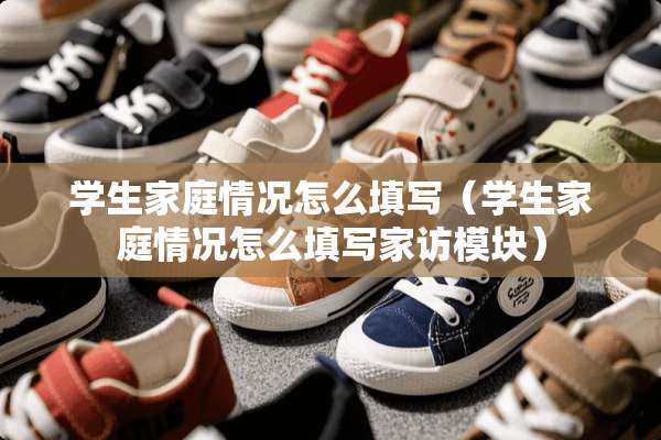 学生家庭情况怎么填写（学生家庭情况怎么填写家访模块）
