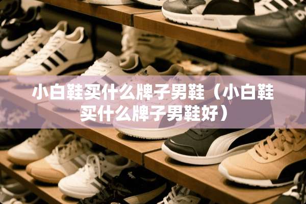 小白鞋买什么牌子男鞋（小白鞋买什么牌子男鞋好）