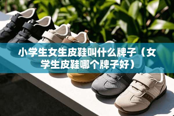 小学生女生皮鞋叫什么牌子（女学生皮鞋哪个牌子好）