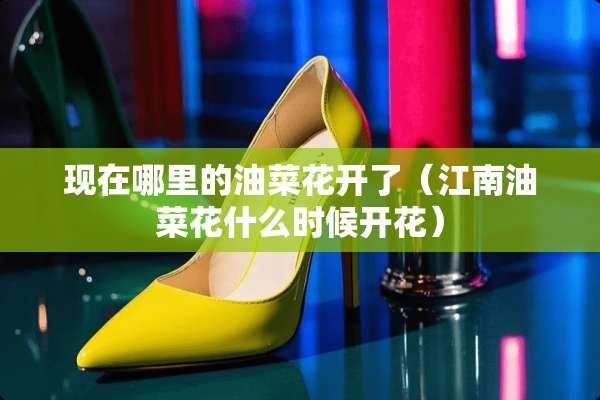现在哪里的油菜花开了（江南油菜花什么时候开花）
