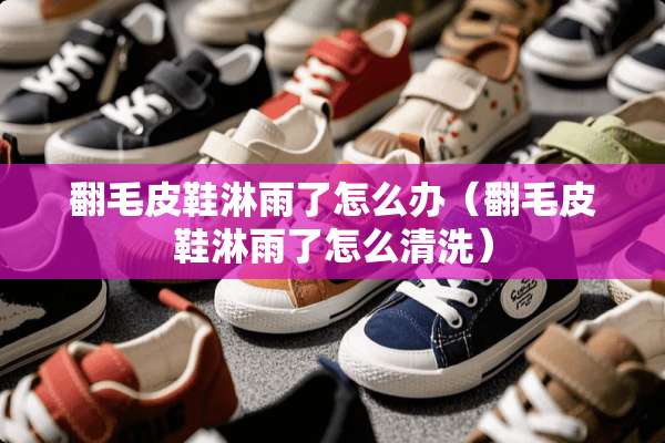翻毛皮鞋淋雨了怎么办（翻毛皮鞋淋雨了怎么清洗）