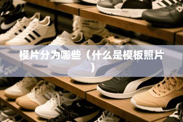 模片分为哪些（什么是模板照片）