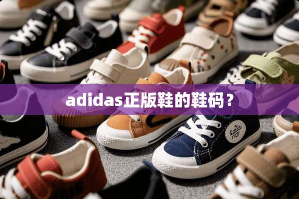 adidas正版鞋的鞋码？