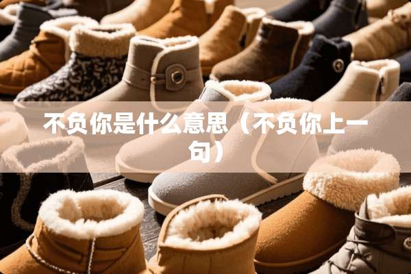 不负你是什么意思（不负你上一句）