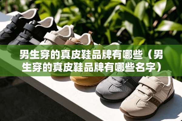 男生穿的真皮鞋品牌有哪些（男生穿的真皮鞋品牌有哪些名字）
