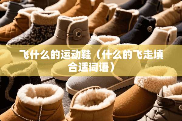 飞什么的运动鞋（什么的飞走填合适词语）